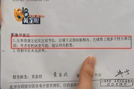 醴陵融资清欠服务